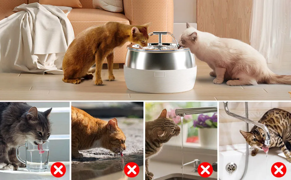 3L Automatic Electric Pet Water Fountain - Stainless Steel Feeder Bowl | Black