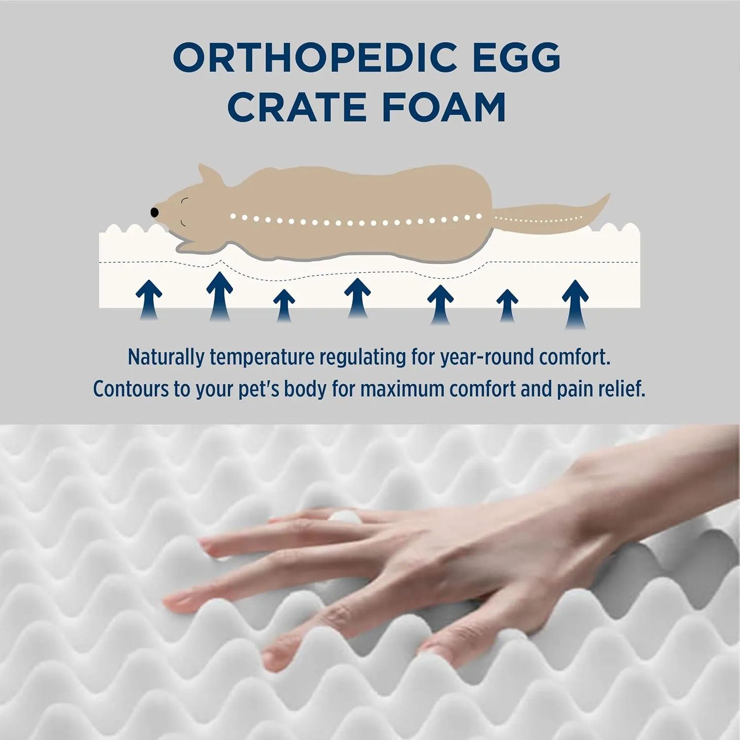 Bedsure Dog Bed Large Sized Dog - Orthopedic Waterproof Pet Beds with Removable Washable Cover, Egg Crate Foam Puppy Mat, Suitable for Pet Up to 65 lbs