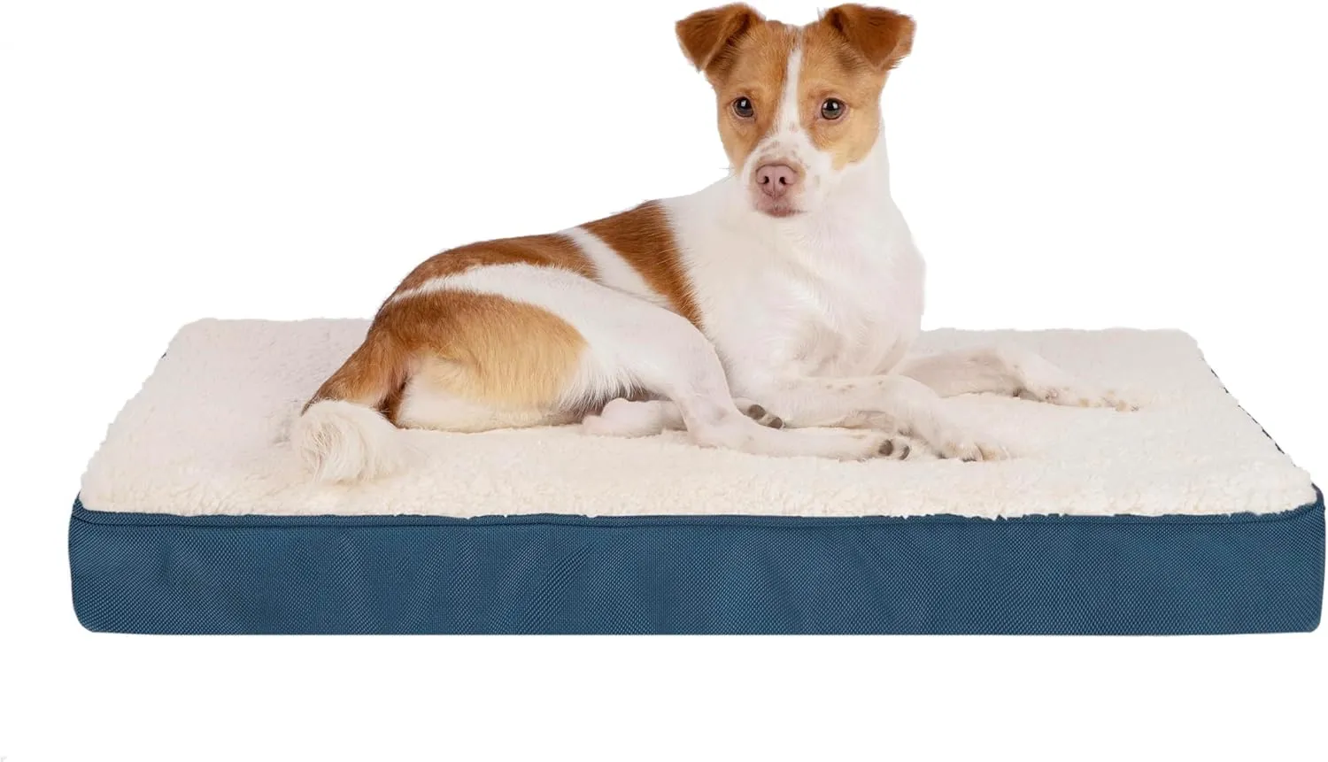 Best Pet Supplies Cute Dog Bed Mat Flat Mattress with Waterproof Exterior, Thick Orthopedic Egg Foam Fill, and Soft Sherpa Fleece Cover for Small, Medium, and Large Breeds - Blue, 35X22X4