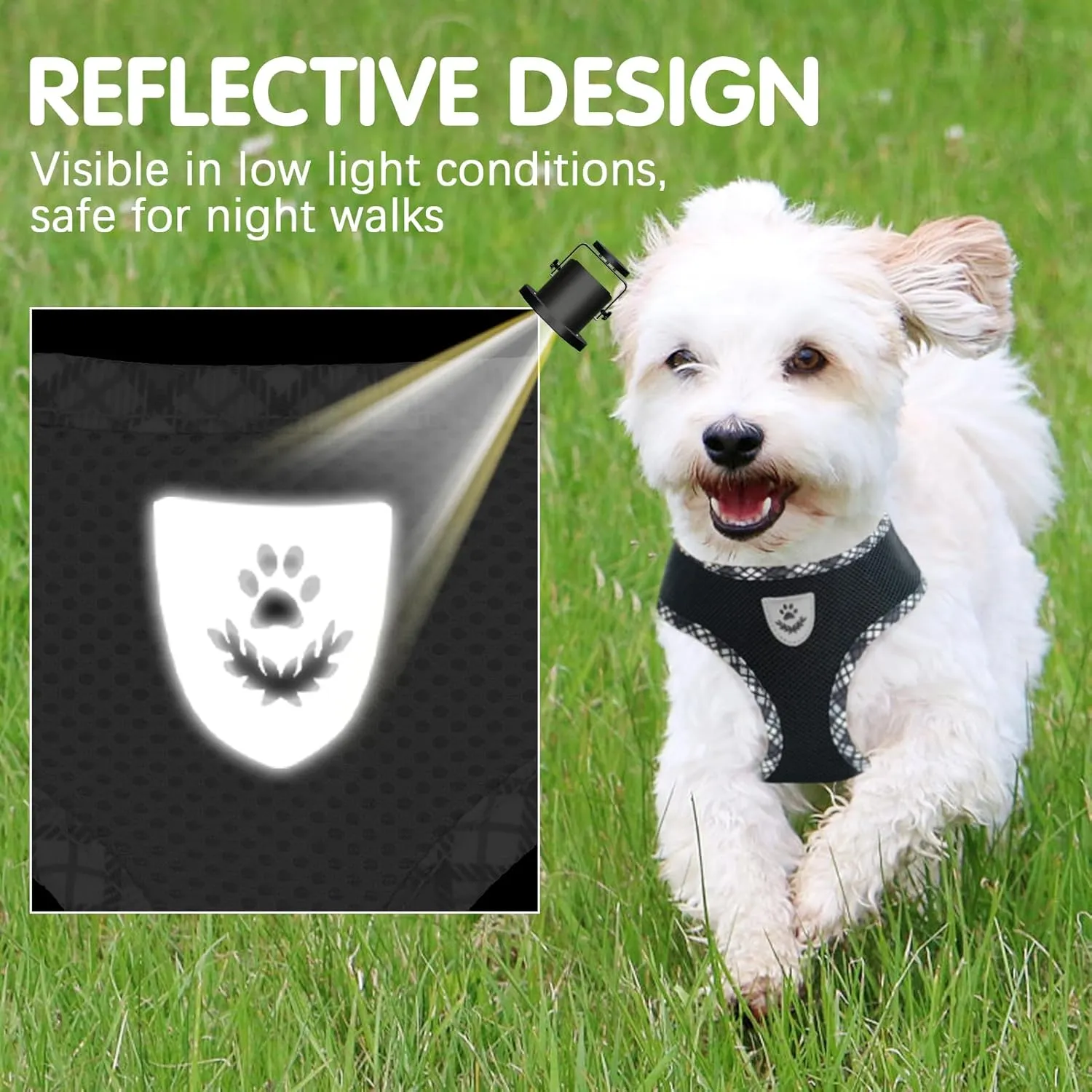 BINGPET Adjustable Dog Vest Harness and Leash Set,No Pull & No Choke Reflective Dog Harness with Padded,Lightweight All Weather Step-in Mesh Breathable Vest Harness for Small and Medium Dogs(Black,L)