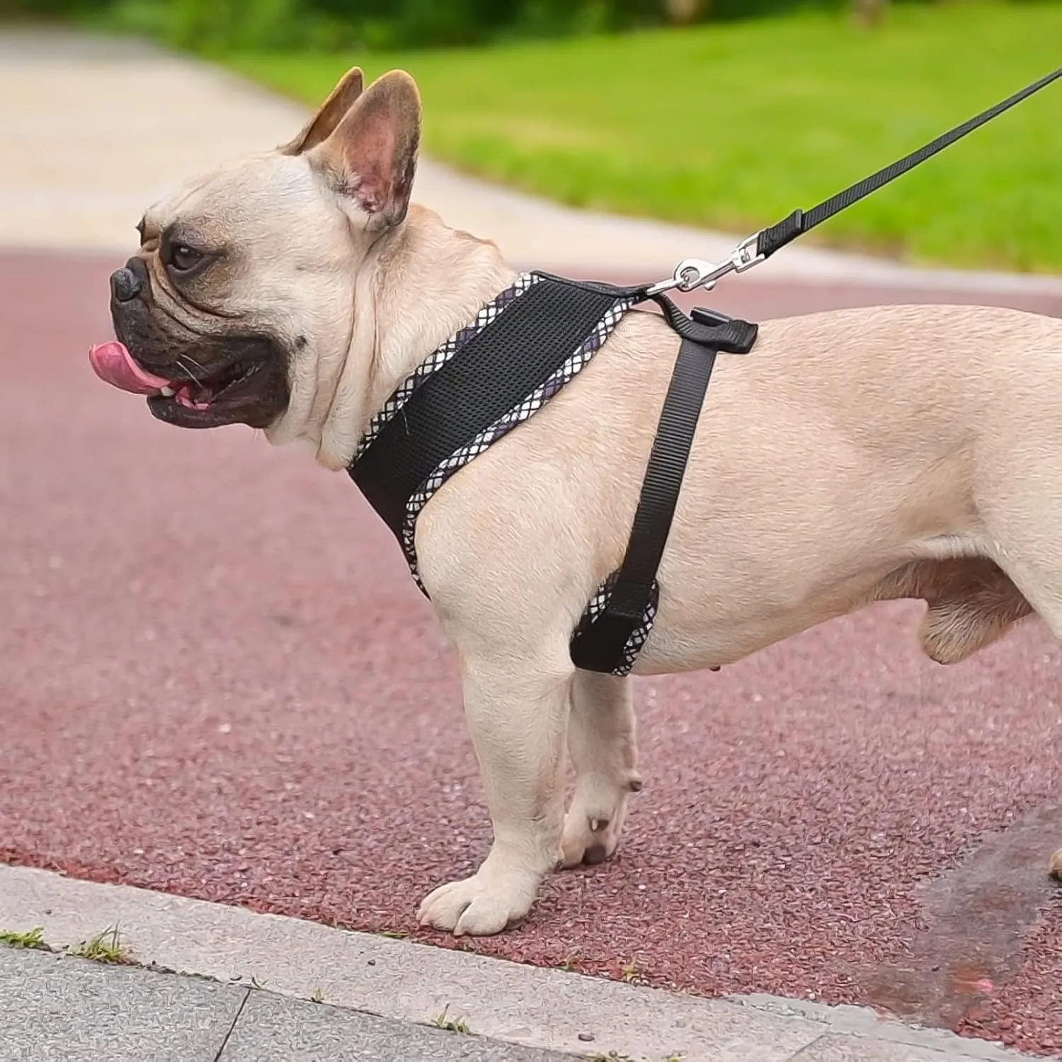 BINGPET Adjustable Dog Vest Harness and Leash Set,No Pull & No Choke Reflective Dog Harness with Padded,Lightweight All Weather Step-in Mesh Breathable Vest Harness for Small and Medium Dogs(Black,L)