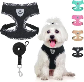 BINGPET Adjustable Dog Vest Harness and Leash Set,No Pull & No Choke Reflective Dog Harness with Padded,Lightweight All Weather Step-in Mesh Breathable Vest Harness for Small and Medium Dogs(Black,L)