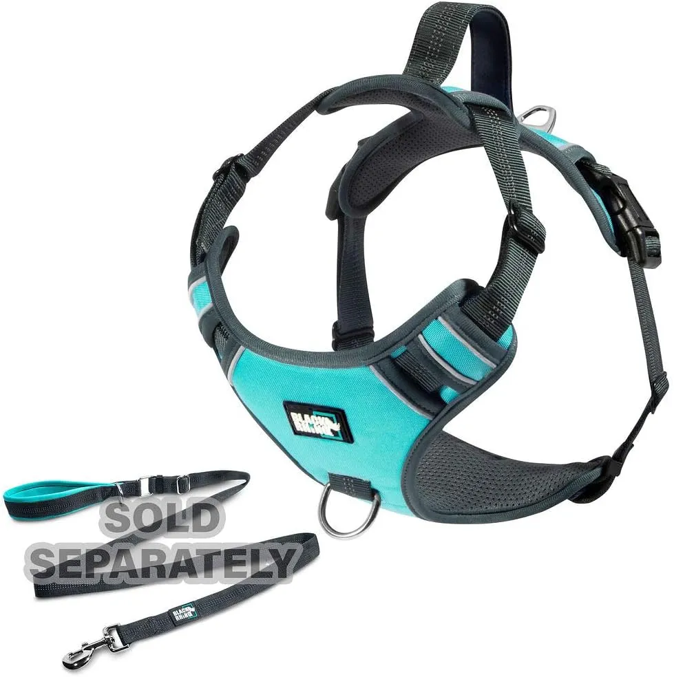 Black Rhino - The Comfort Dog Harness with Mesh Padded Vest for Small - Large Breeds | Adjustable | Reflective | 2 Leash Attachments on Chest & Back - Neoprene Padded Training Handle (Medium, Aqua/Gr)