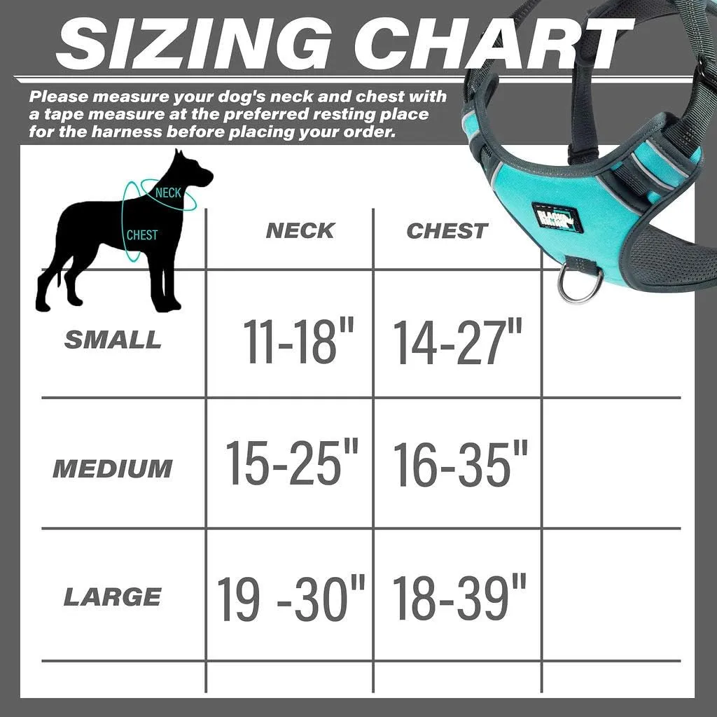 Black Rhino - The Comfort Dog Harness with Mesh Padded Vest for Small - Large Breeds | Adjustable | Reflective | 2 Leash Attachments on Chest & Back - Neoprene Padded Training Handle (Medium, Aqua/Gr)
