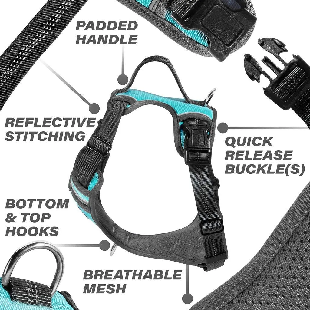 Black Rhino - The Comfort Dog Harness with Mesh Padded Vest for Small - Large Breeds | Adjustable | Reflective | 2 Leash Attachments on Chest & Back - Neoprene Padded Training Handle (Medium, Aqua/Gr)