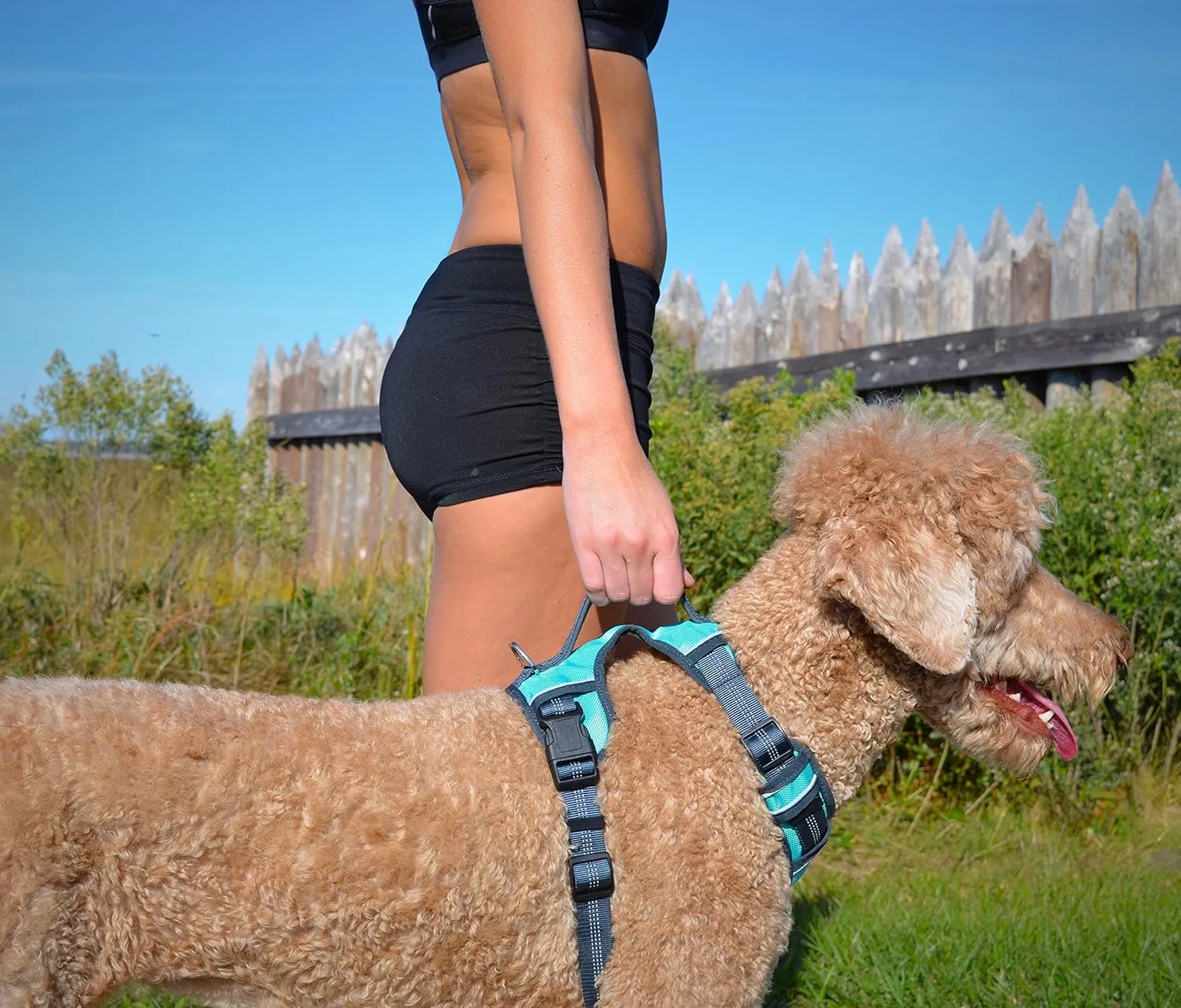 Black Rhino - The Comfort Dog Harness with Mesh Padded Vest for Small - Large Breeds | Adjustable | Reflective | 2 Leash Attachments on Chest & Back - Neoprene Padded Training Handle (Medium, Aqua/Gr)