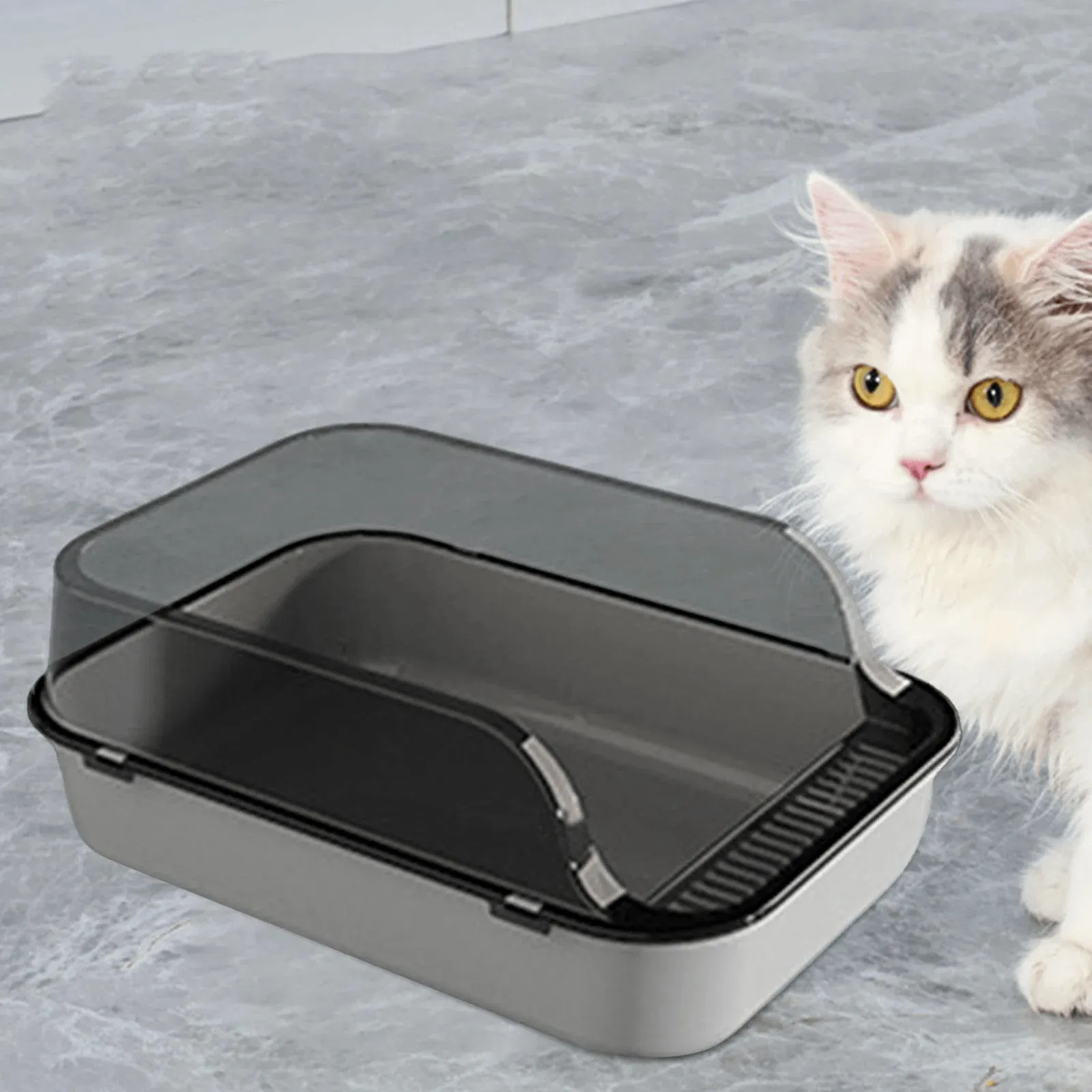 Cat Litter Box, Open Top Pet Litter Tray, Kitty Litter Pan, Easy to Clean, Cat Toilet Kitten Potty Toilet for Rabbit Kitten Litter Box