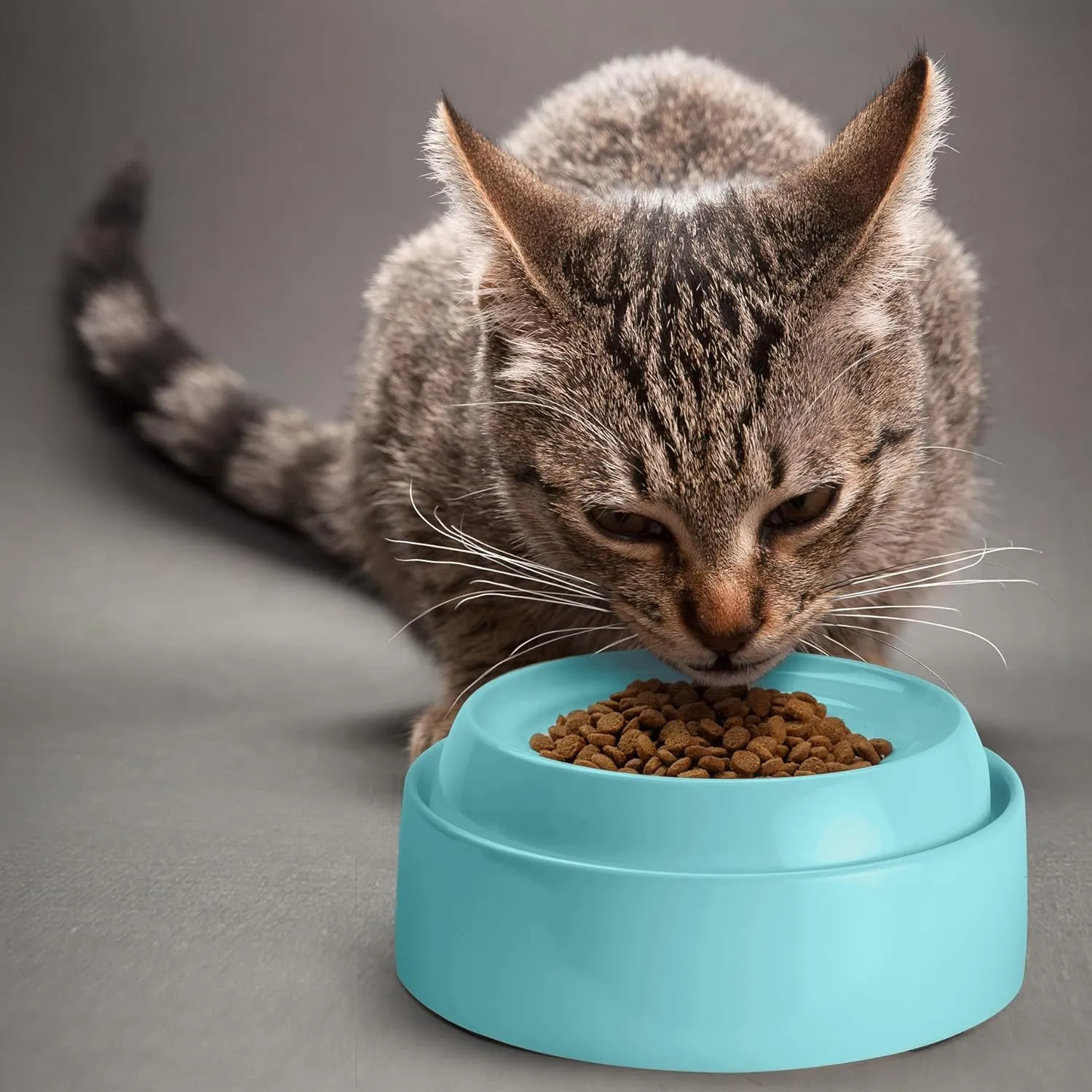 CatGuru Cat Bowls, Whisker Friendly Cat Food Bowl for Indoor Cats, Reliefs Whisker Fatigue, Wide Pet Bowl, Non Slip Pet Feeding Bowls, Shallow Kitten Dish (Aruba)