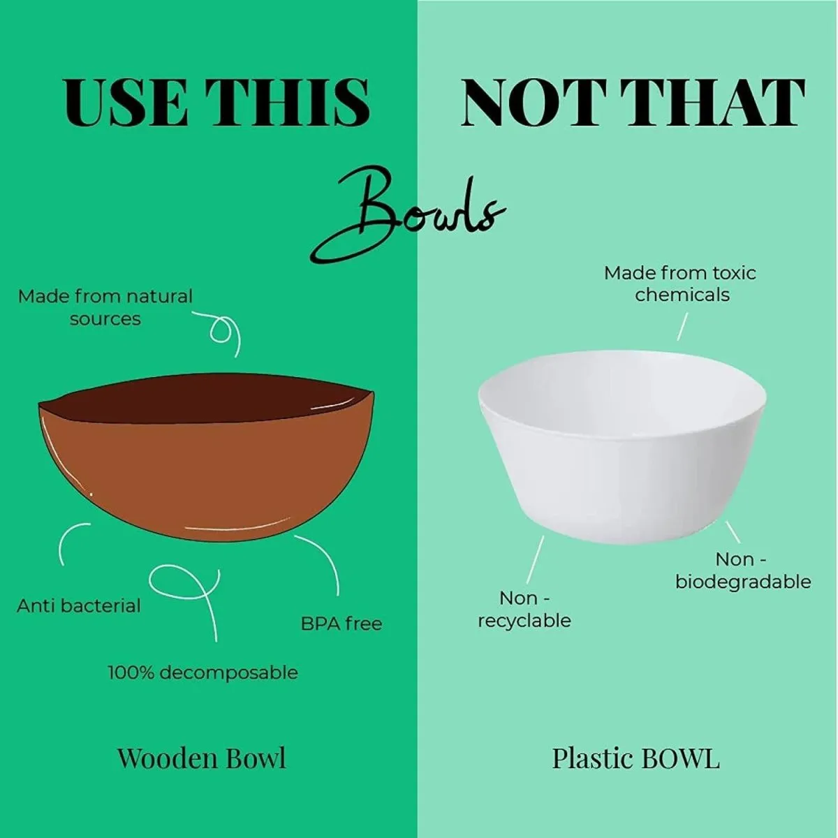 Coconut Bowl 500ml & Wooden Cutlery