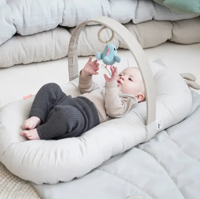 Cozy Lounger with Activity Arch Raffi VARIOUS COLOURS