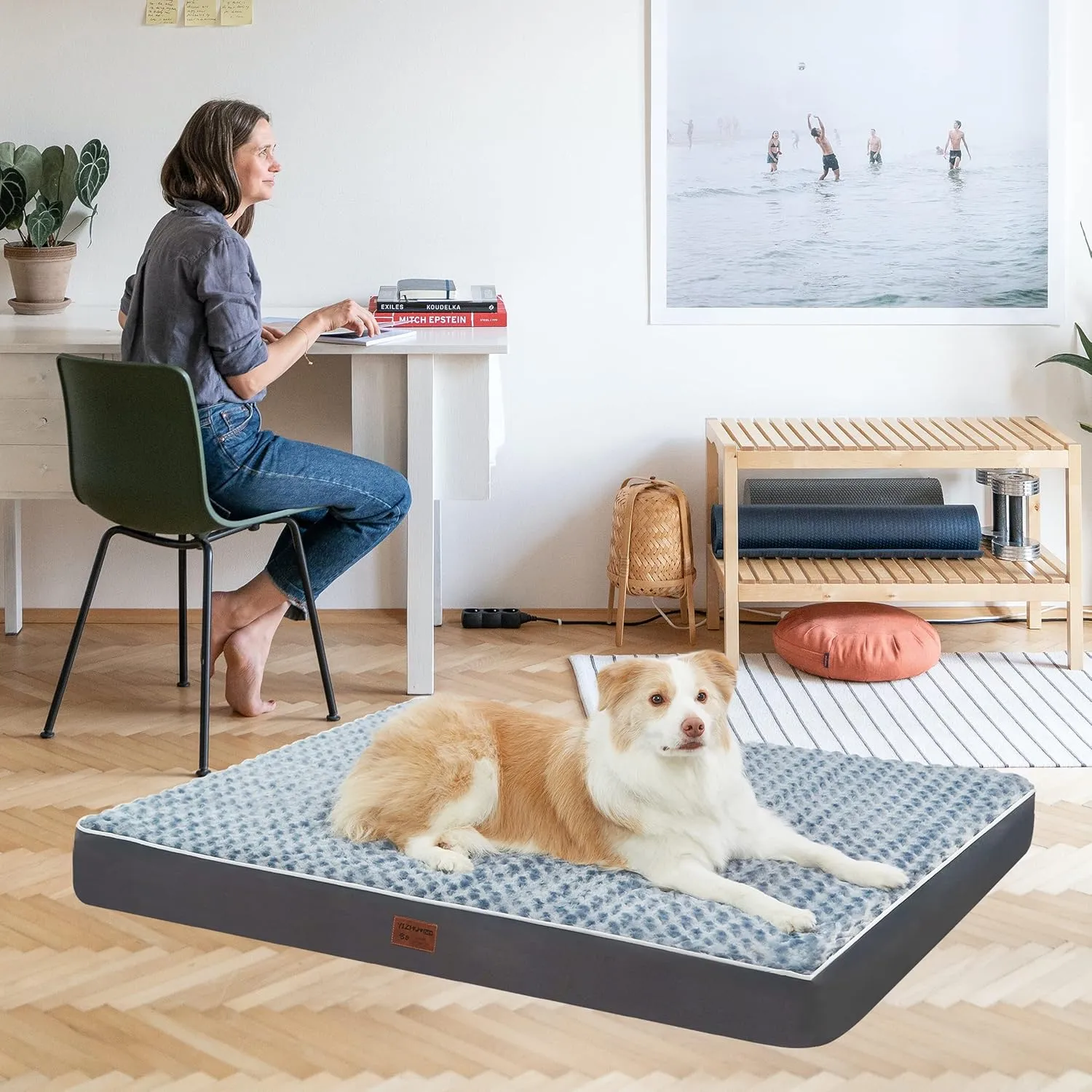 Dog Bed Mats for Large Jumbo Big Dog - Orthopedic Dog Pet Durable Crate Bed Mattress of Thick Egg Foam Crate, Rose Plush Washable Cover, Non-Slip Bottom (XXXL(54''x42''x4''), Grey Side)