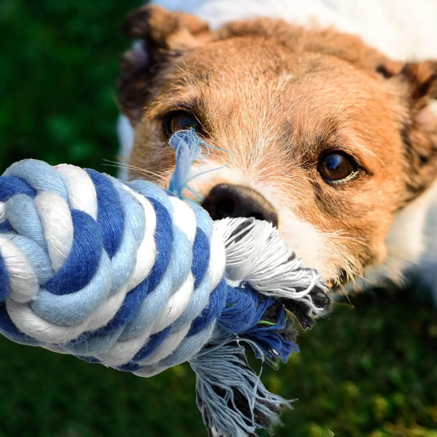 Dog Rope Toy 4 Pack - Puppy Teething Toys for Small Medium Breed - Indestructible Dog Chew Toys for Aggressive Chewers - Cotton Tug of War Dog Toy for Boredom, Teeth Clean