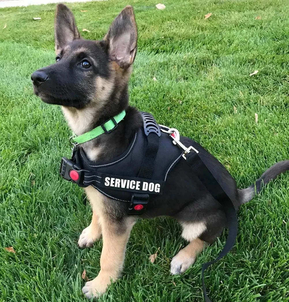 Fairwin Service Dog Vest-No-Pull Dog Harness with Handle Adjustable Reflective Patches in Training Vest Harness for Small Medium Large Breed Outdoor Walking