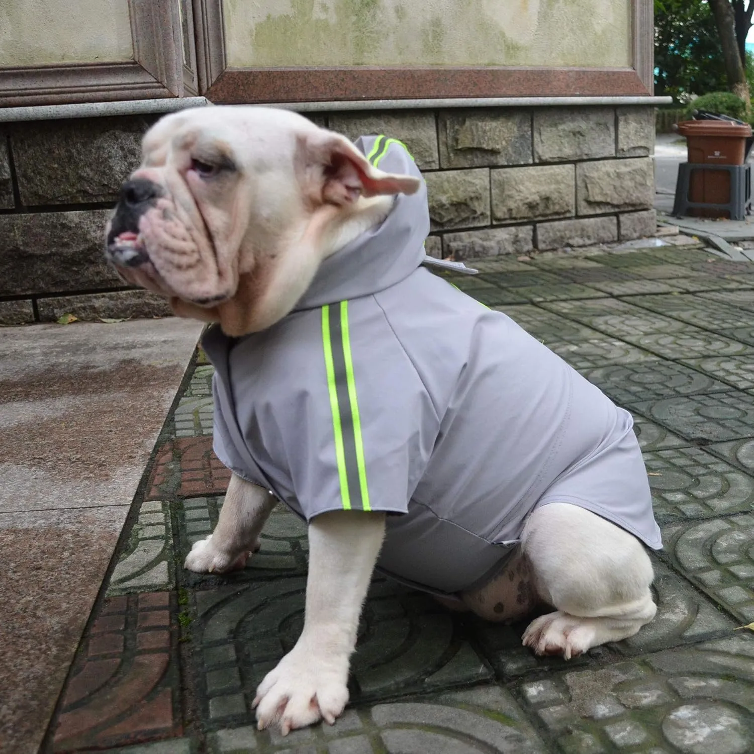 Fashion Hooded Pet Dog Raincoat, Lightweight Dog Rain Jacket Zipper Closure Rain Poncho with Reflective Strip for Pug French Bulldog Gray B-S