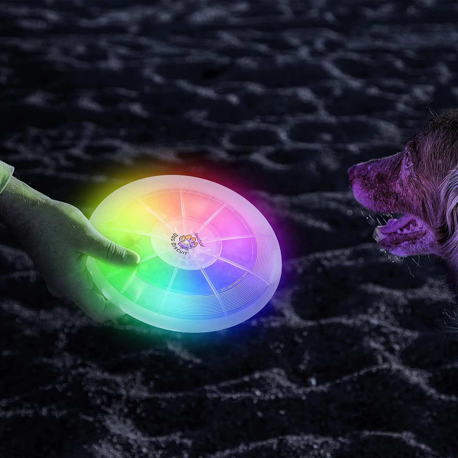 Flashflight LED Dog Discuit