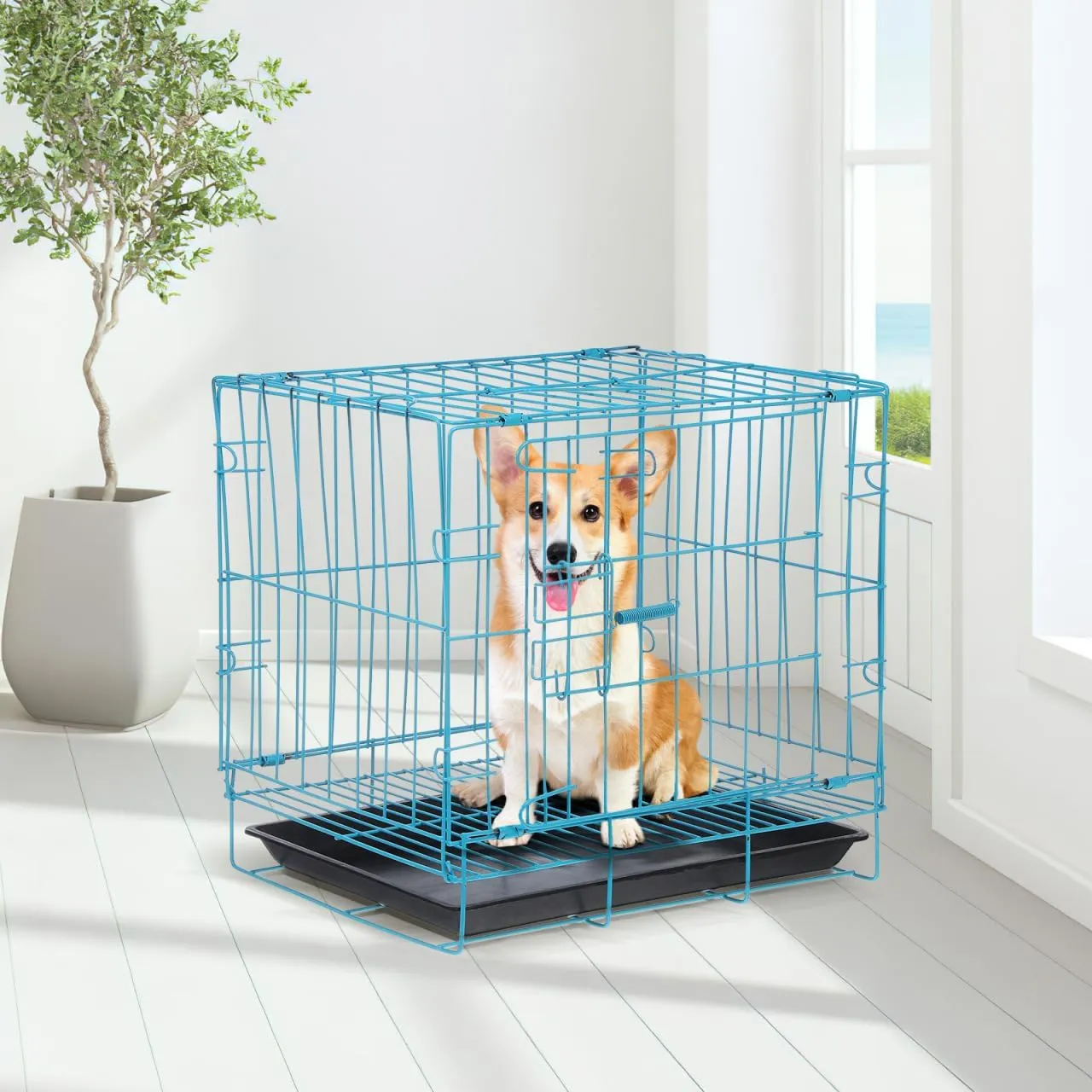 Folding Metal Dog Crate with Toilet for Small and Medium Dog Cat Rabbit Indoor Ourdoor (Blue)