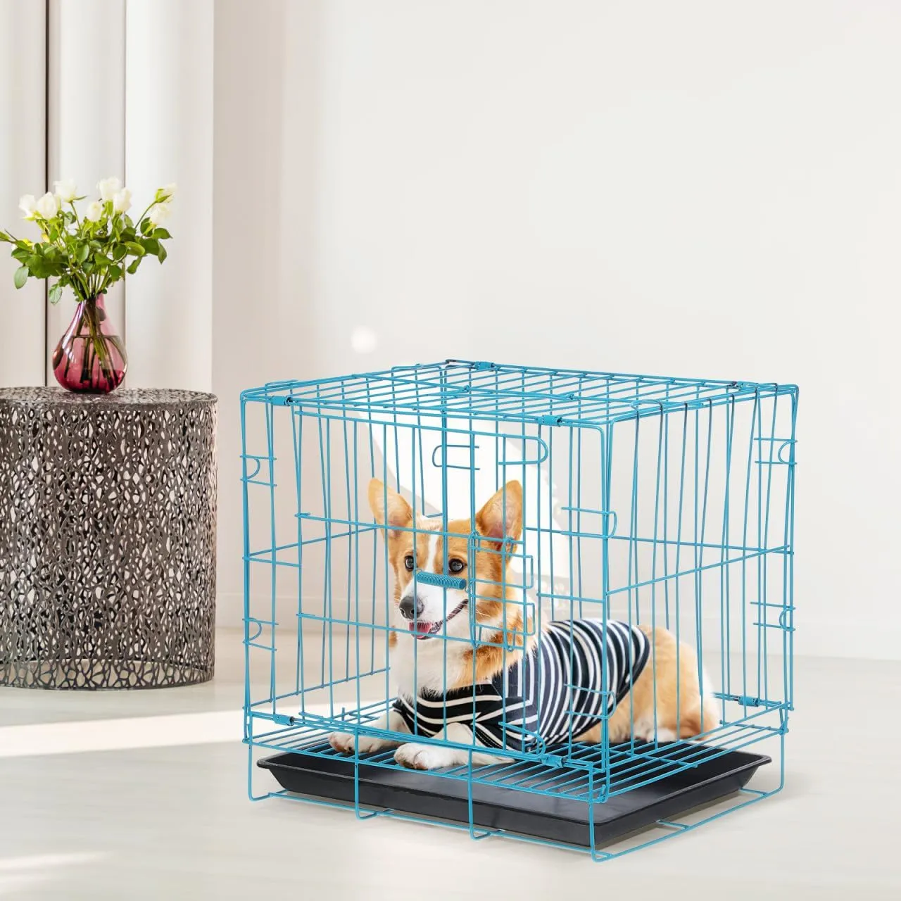 Folding Metal Dog Crate with Toilet for Small and Medium Dog Cat Rabbit Indoor Ourdoor (Blue)