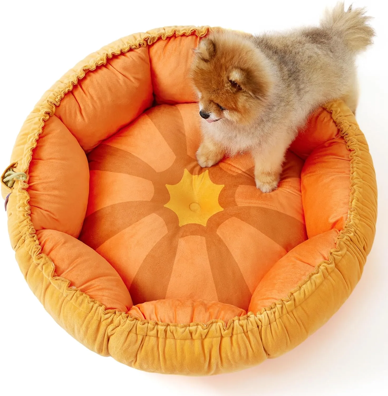 Lesure Dog beds for Small Dogs - Washable Cute Cat Beds with Versatile Dual-Use Design, Reversible Round Pet Bed for Puppy and Kitten, 25x25x8 Inches