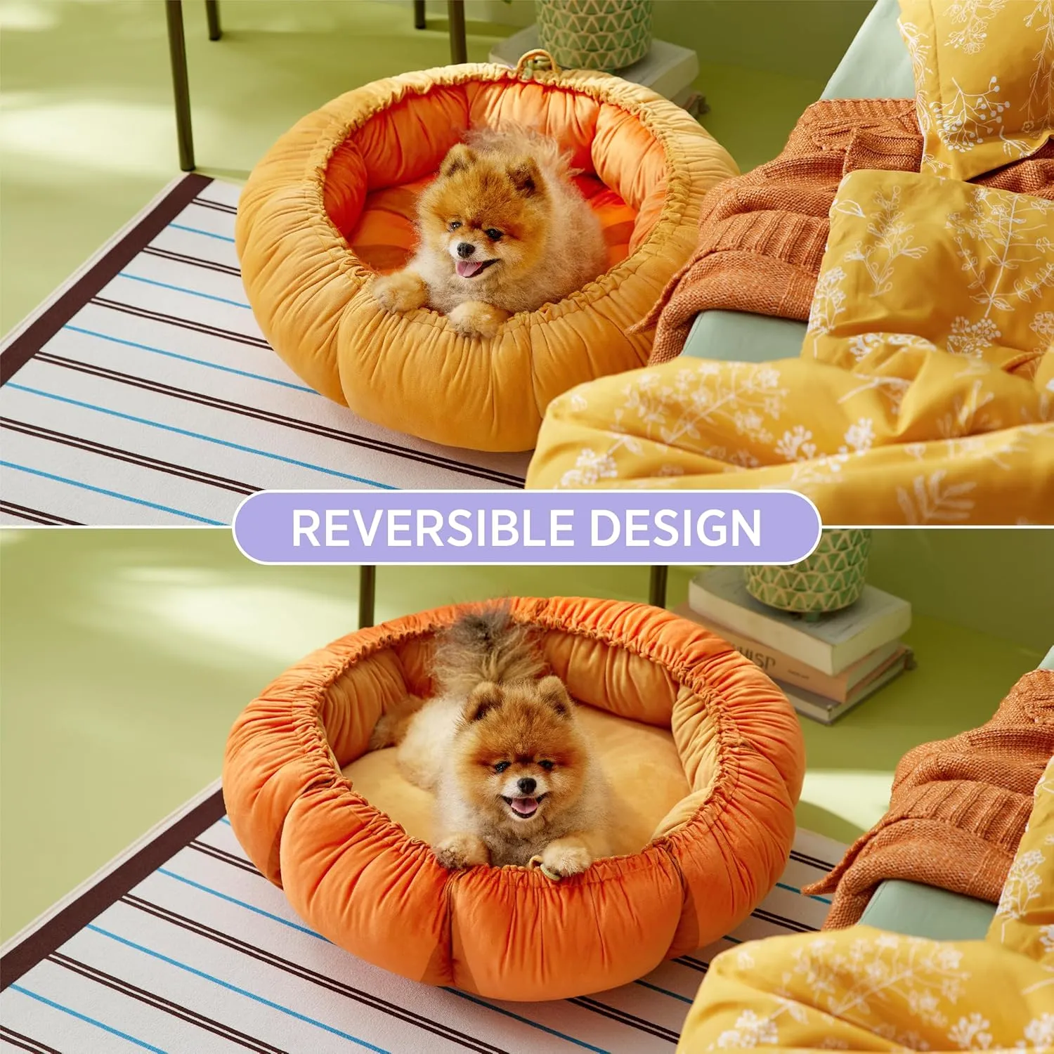 Lesure Dog beds for Small Dogs - Washable Cute Cat Beds with Versatile Dual-Use Design, Reversible Round Pet Bed for Puppy and Kitten, 25x25x8 Inches
