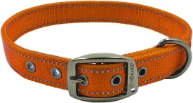 Max and Neo MAX Reflective Metal Buckle Dog Collar - We Donate a Collar to a Dog Rescue for Every Collar Sold (Small, Orange)