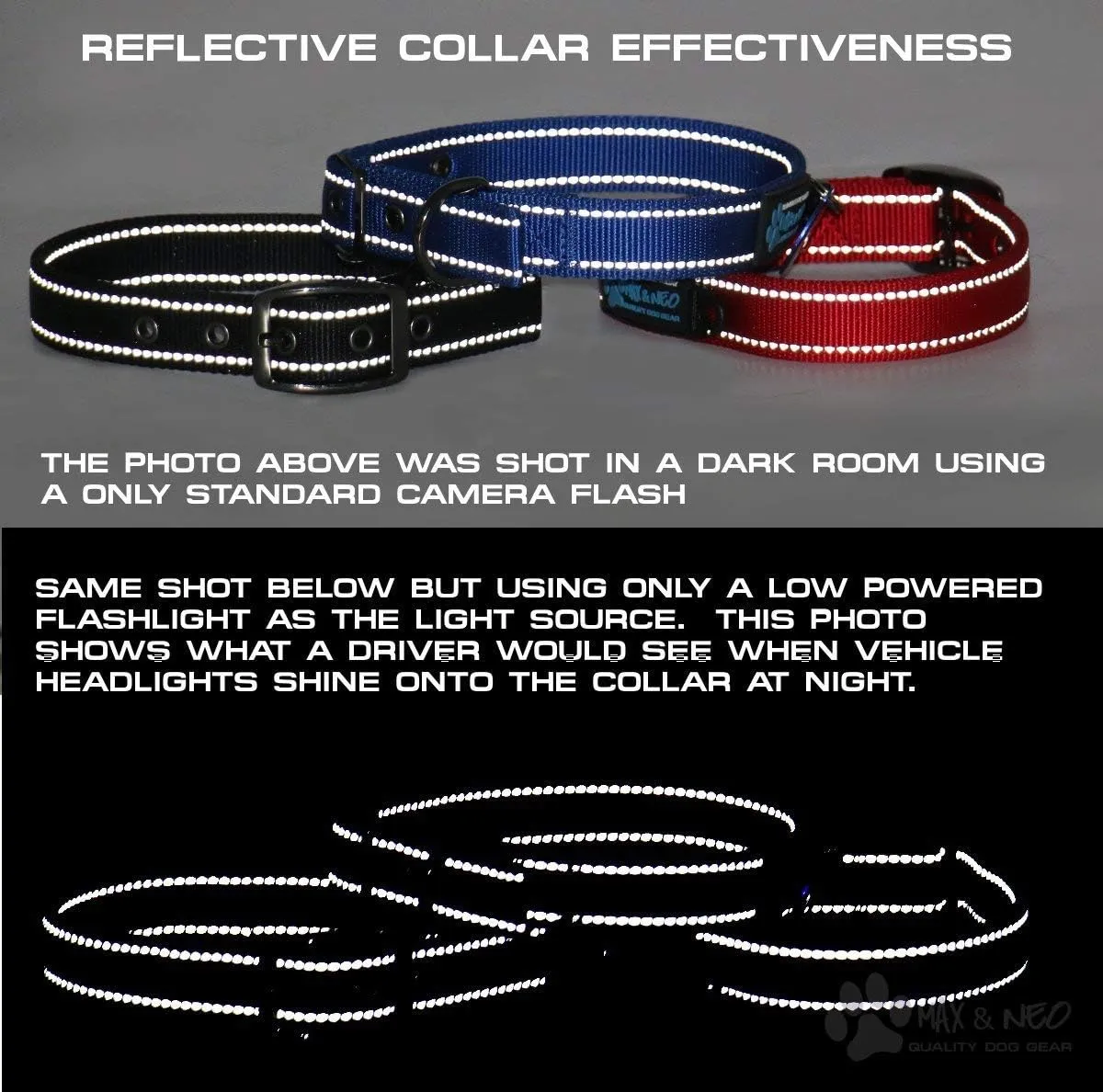 Max and Neo MAX Reflective Metal Buckle Dog Collar - We Donate a Collar to a Dog Rescue for Every Collar Sold (Small, Orange)