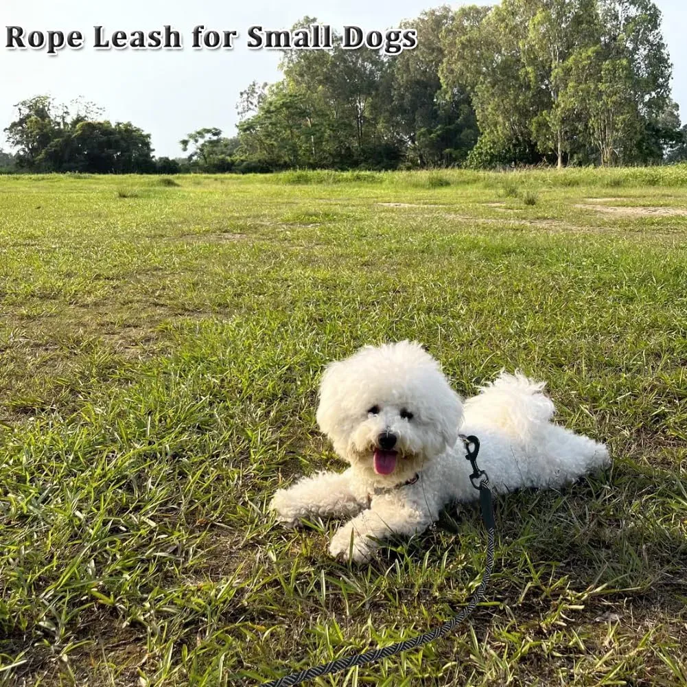 MayPaw Heavy Duty Rope Dog Leash, 1/4" x 6FT Nylon Pet Training Leash, Soft Padded Handle Thick Lead for Small Dogs (1/4" 6', Blue)