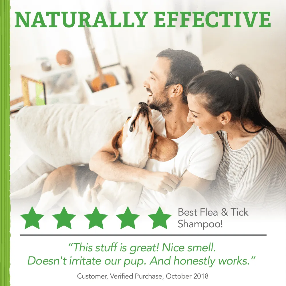 Natural Care Flea and Tick Dog Shampoo with Certified Natural Oils, 12 oz.