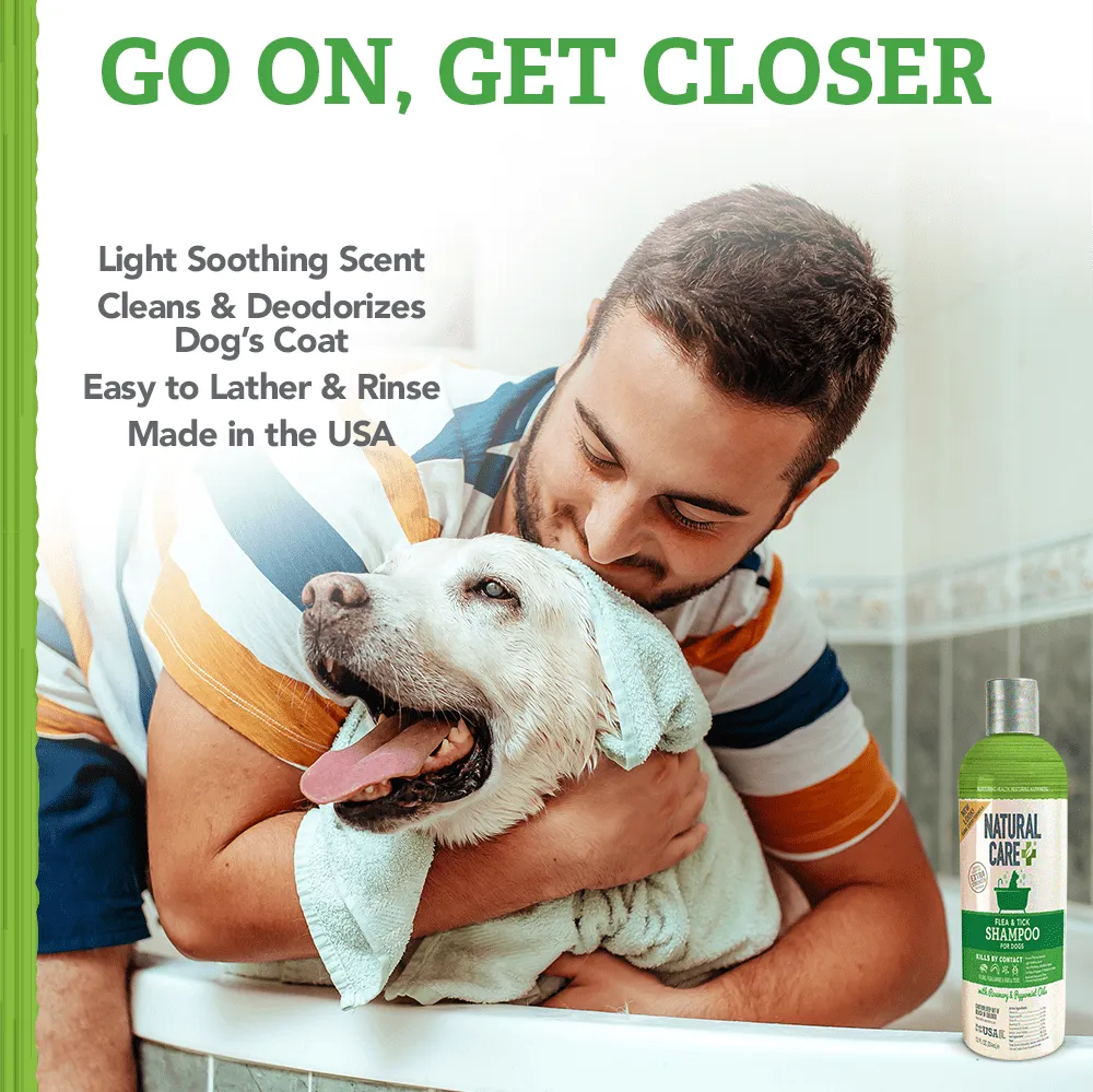 Natural Care Flea and Tick Dog Shampoo with Certified Natural Oils, 12 oz.
