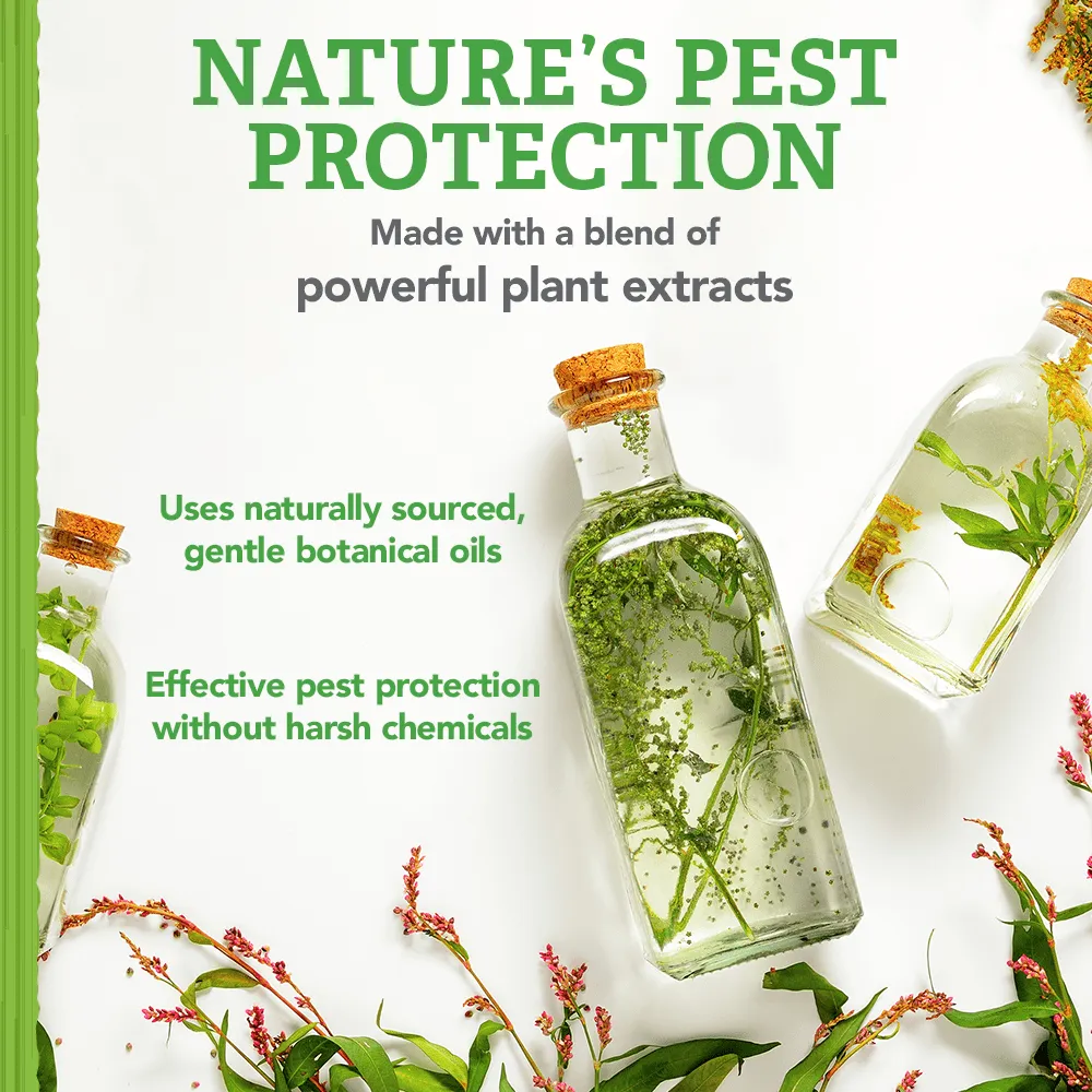 Natural Care Flea and Tick Dog Shampoo with Certified Natural Oils, 12 oz.
