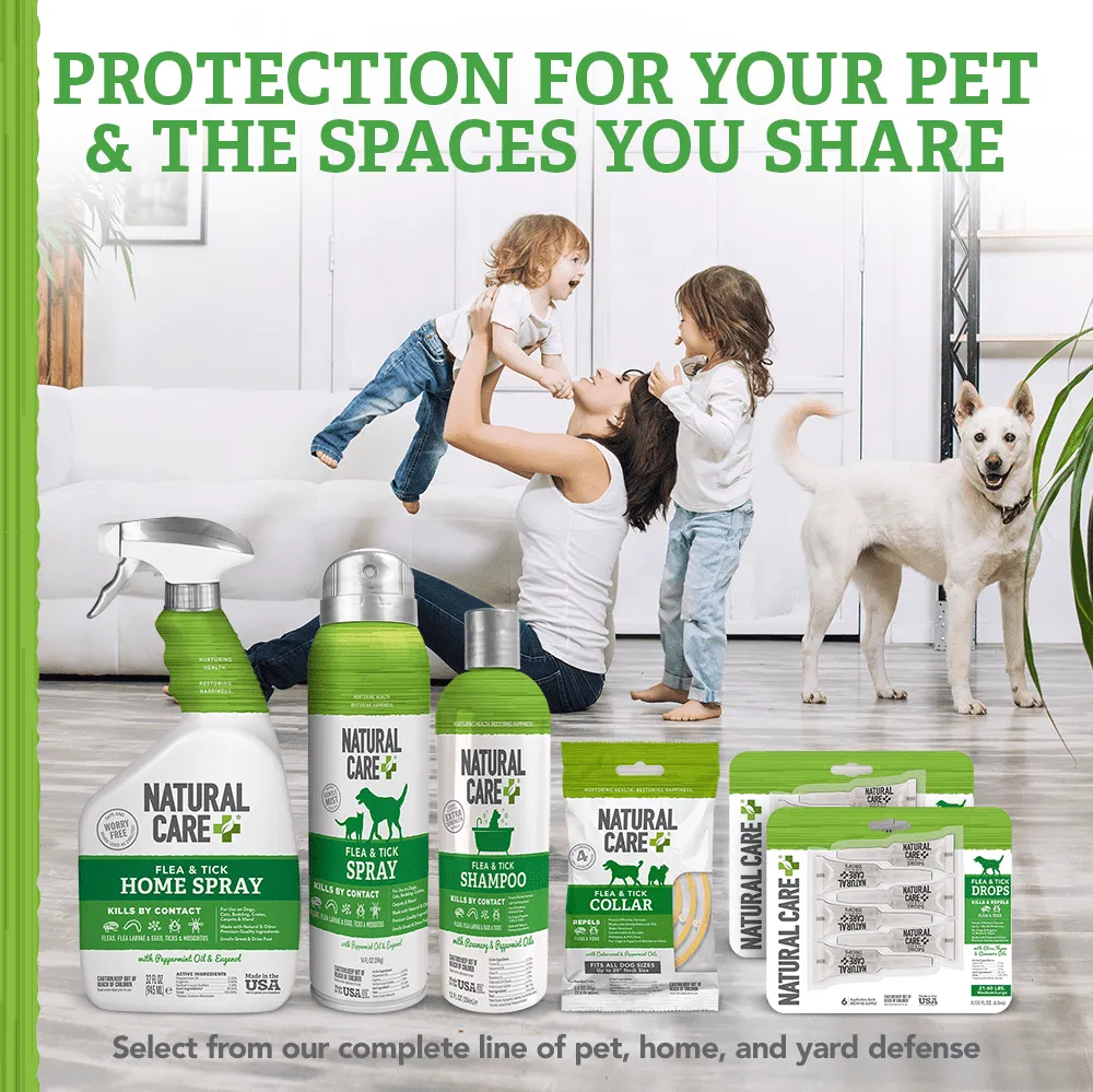 Natural Care Flea and Tick Dog Shampoo with Certified Natural Oils, 12 oz.