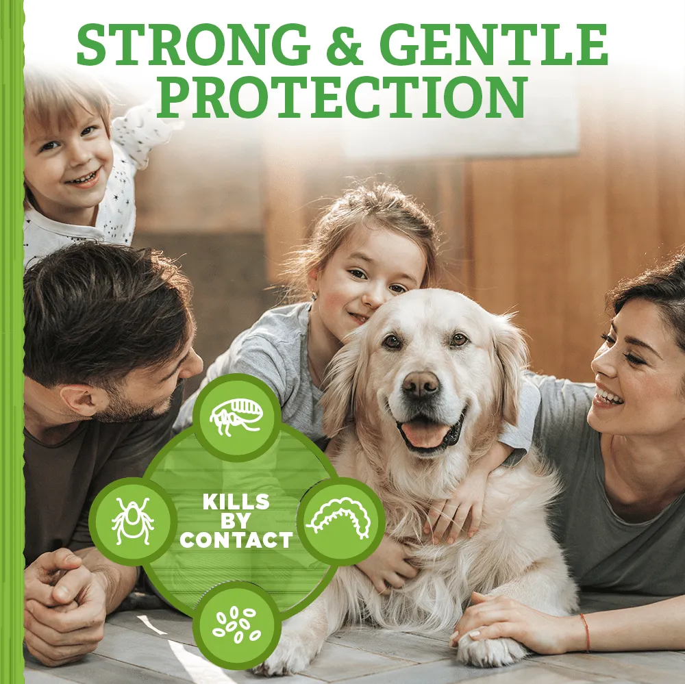Natural Care Flea and Tick Dog Shampoo with Certified Natural Oils, 12 oz.