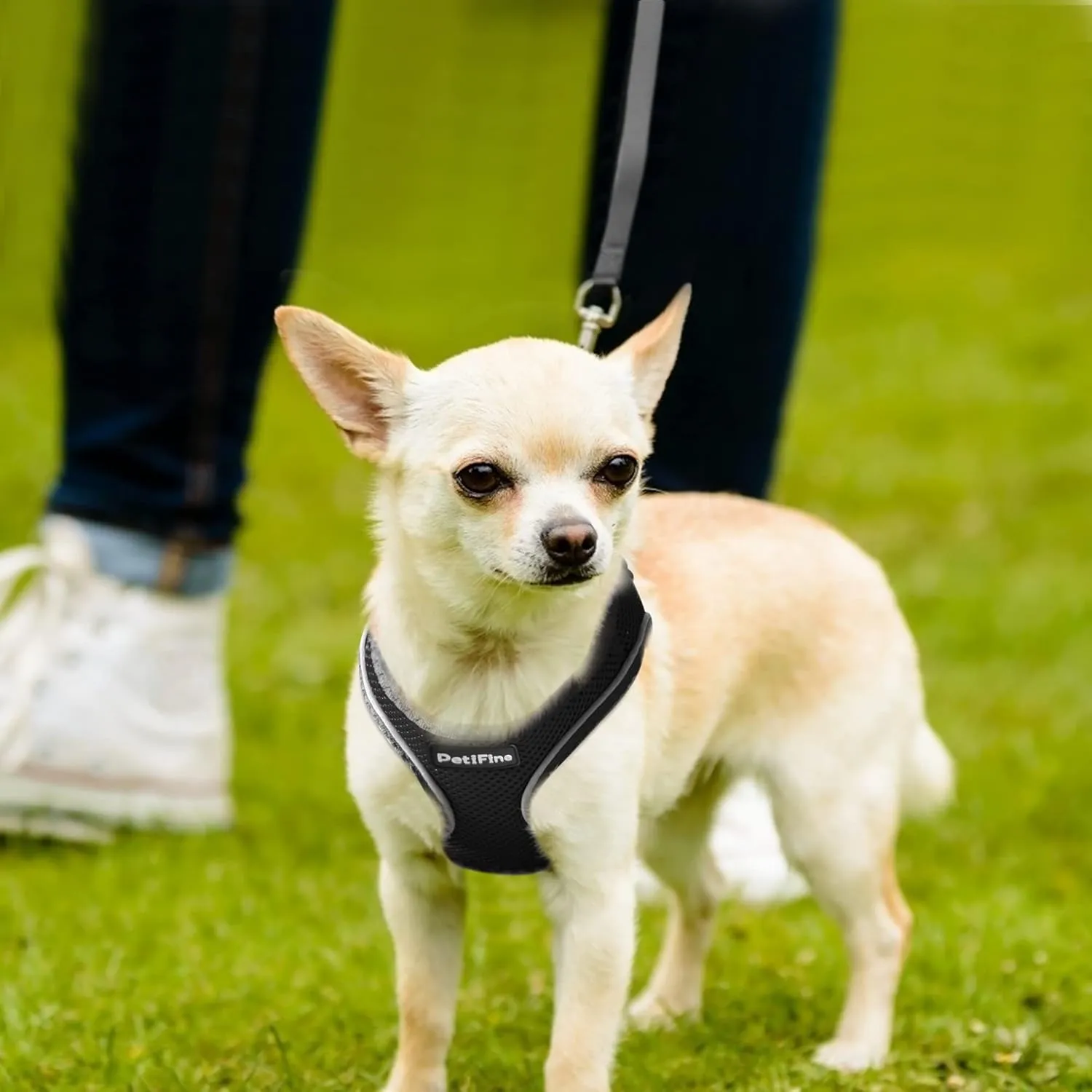 PetiFine Step in Small Dog Harness and Leash Set, Breathable All Weather Air Mesh Reflective Escape Proof, Step-in Vest Harnesses for Puppy(XS, Black)
