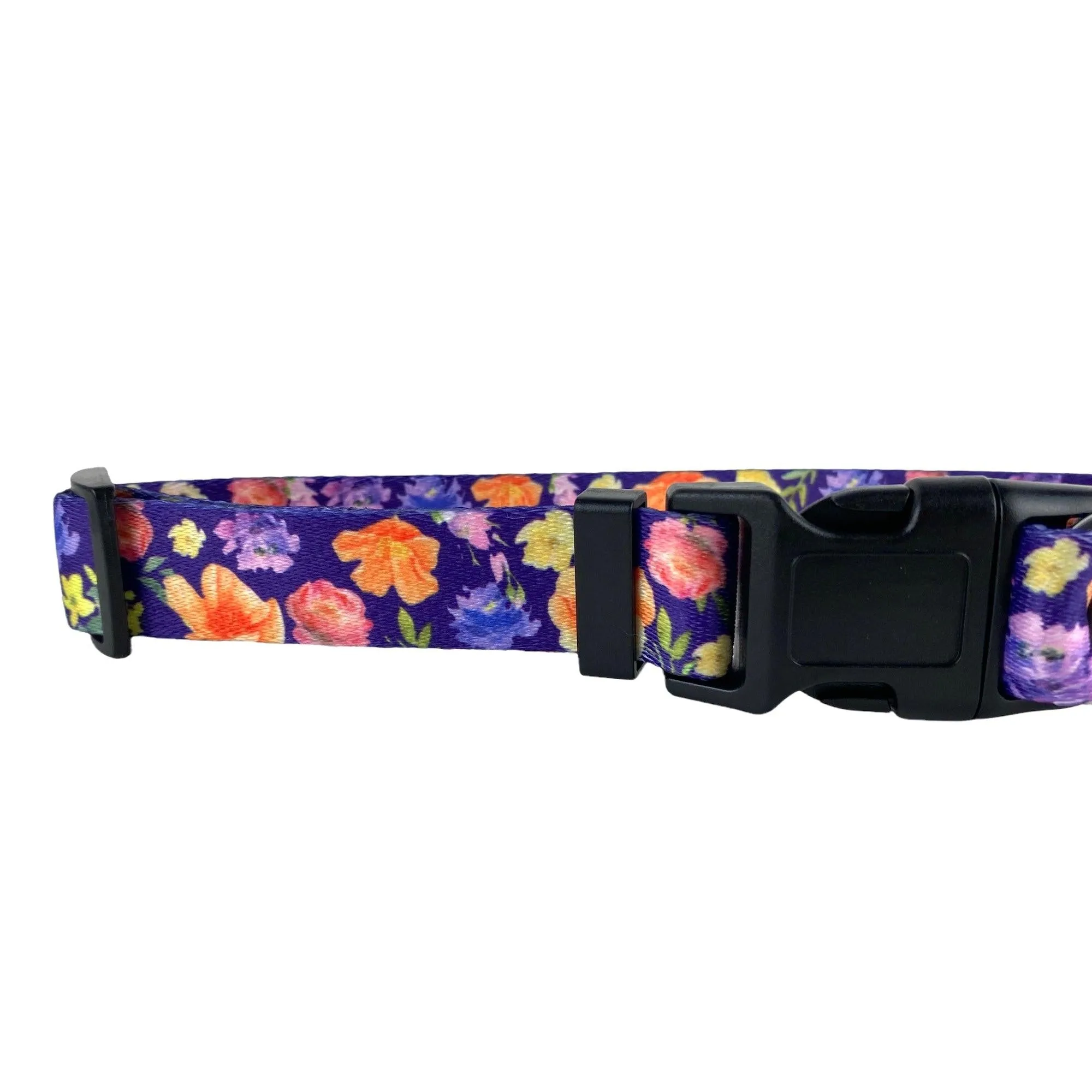 Safe Cinch Collar - Poppies