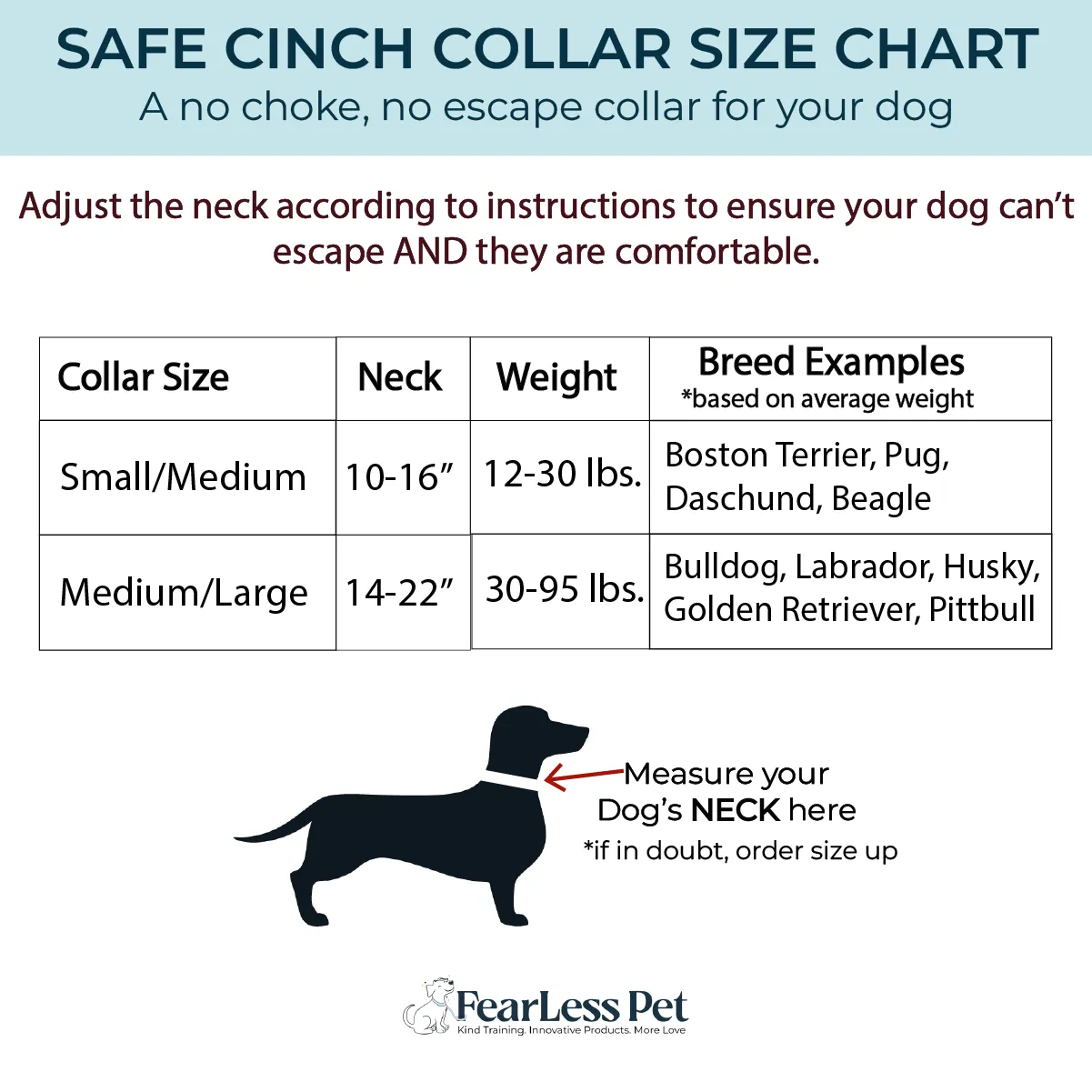 Safe Cinch Collar - Poppies
