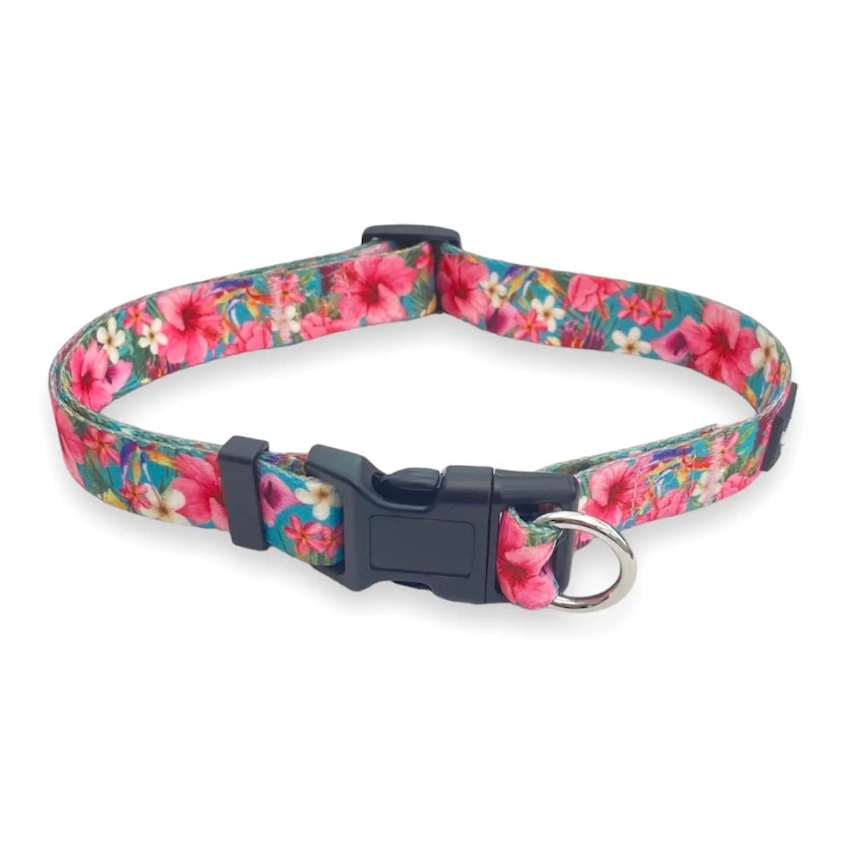 Safe Cinch No Escape Dog Collar