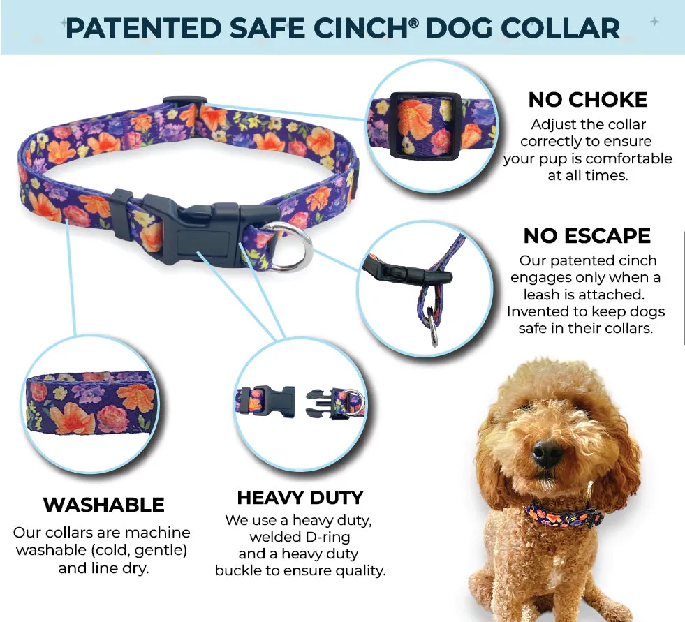 Safe Cinch No Escape Dog Collar