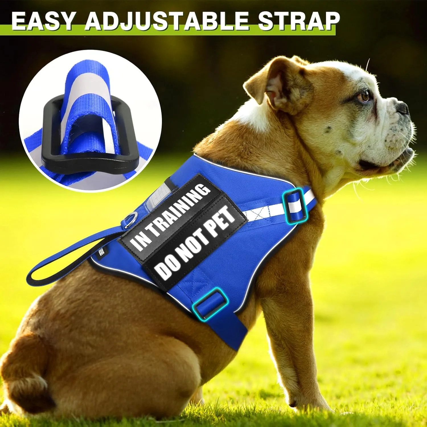 Service Dog Harness and Leash Set, Training Dog Vest with 10 Dog Patches, Emotional Support Therapy Dog Vest Harness for Small Medium Large and Extra Large Dogs(Blue, M)