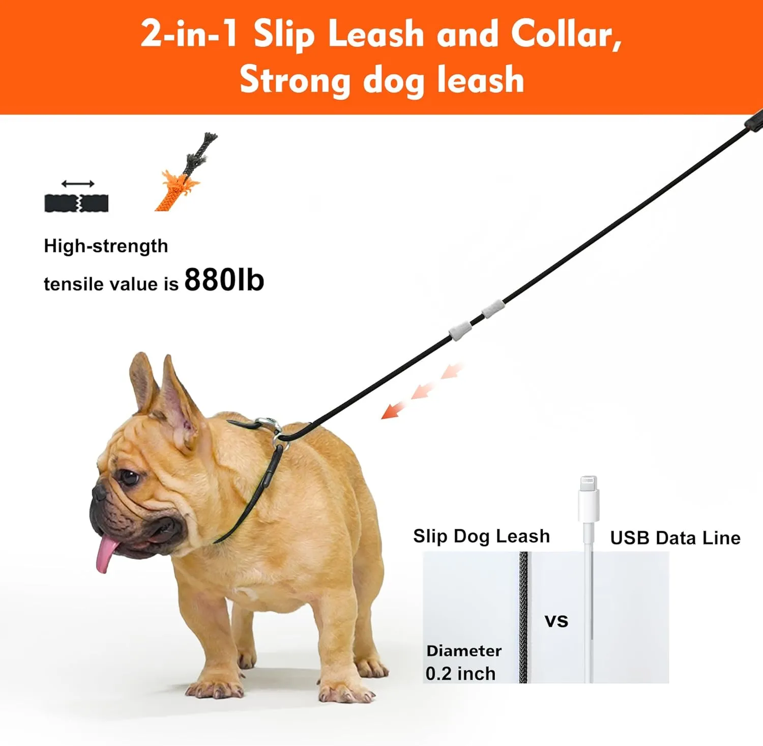 Slip Leads for Dogs,Top Speed Training Dog Leash,2-in-1 Slip Collar Dog Training Lead & Collar,4ft Thin Slip Lead,Small Medium or Large Dogs(Blue1.2M Long)