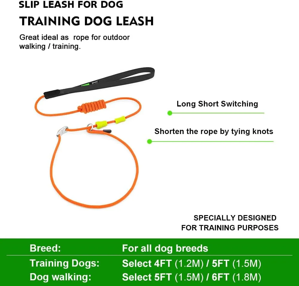 Slip Leads for Dogs,Top Speed Training Dog Leash,2-in-1 Slip Collar Dog Training Lead & Collar,4ft Thin Slip Lead,Small Medium or Large Dogs(Blue1.2M Long)