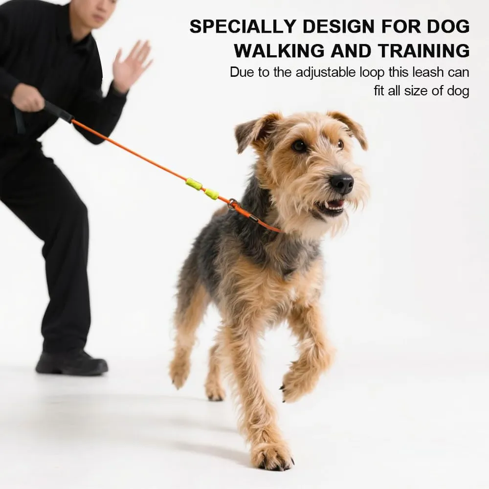 Slip Leads for Dogs,Top Speed Training Dog Leash,2-in-1 Slip Collar Dog Training Lead & Collar,4ft Thin Slip Lead,Small Medium or Large Dogs(Blue1.2M Long)